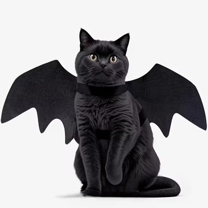 Halloween Bat Costume Activity And Party Supplies Holiday Decorations Cat Additions Pet Bat Wings