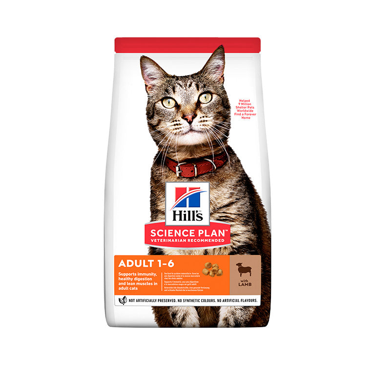 Hills Science Plan Adult Cat Dry Food With Lamb