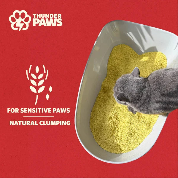 Thunder Paws Eco-Comfort Millet Cat Litter-6Litter/2.5KG