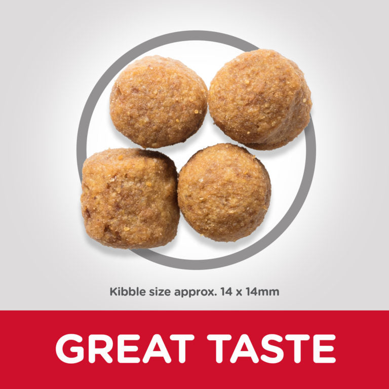 Hills Science Plan Large Breed Adult Dry Dog Food With Chicken - 14Kg