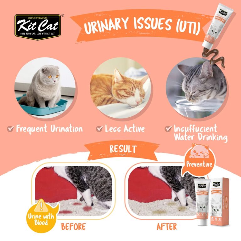 Kit Cat Daily Supplement Gel For Cats & Kittens – Urinary Care (120g)