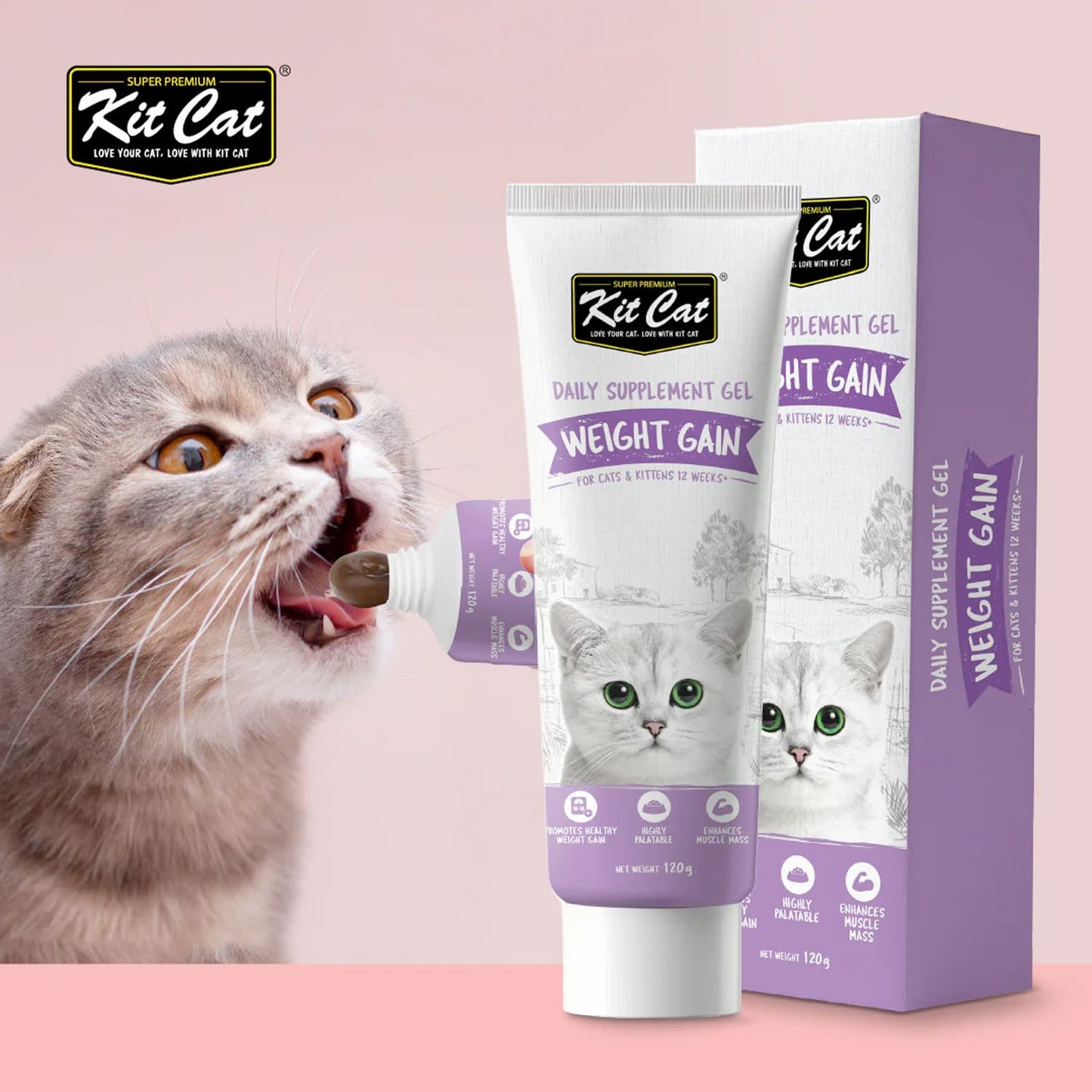 Kit Cat Daily Supplement Gel For Cats & Kittens – Weight Gain (120g)