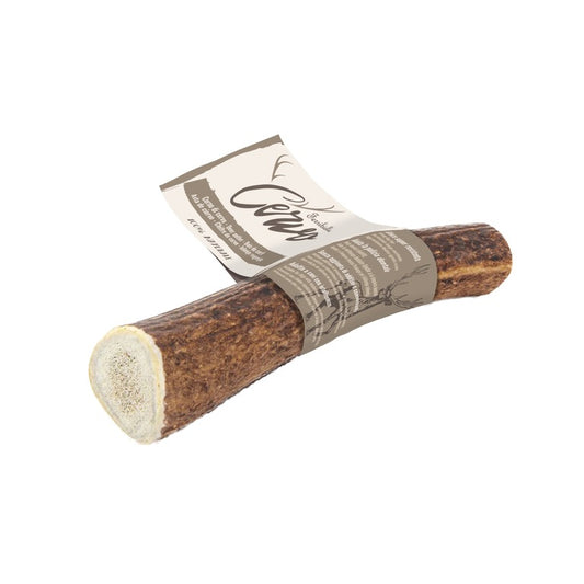 Deer Antler Medium Dog Chew Treat