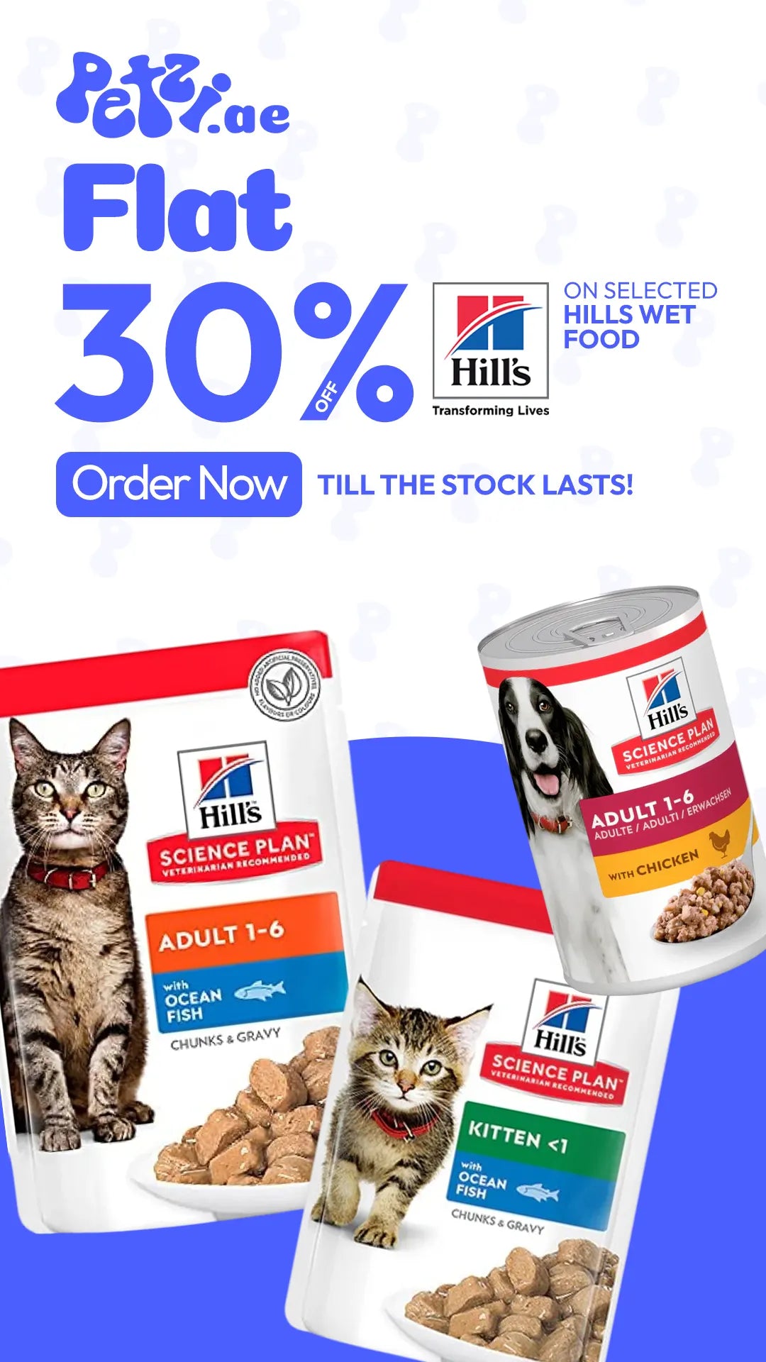 Carton Boxes packaging