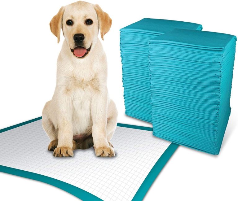 Simple Solution Puppy Training Pads-(Pack of-14 Pads)