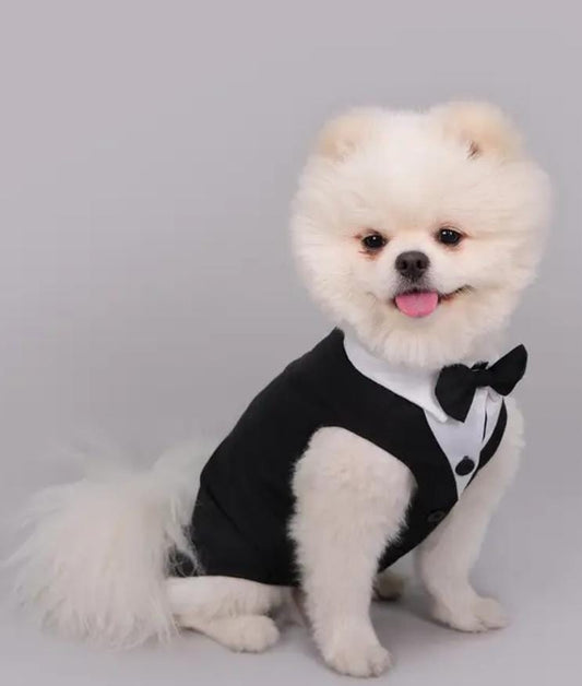 Elegant Sleeveless Dog Tuxedo Suit with Black Bow Tie & Floral Accents (Medium)