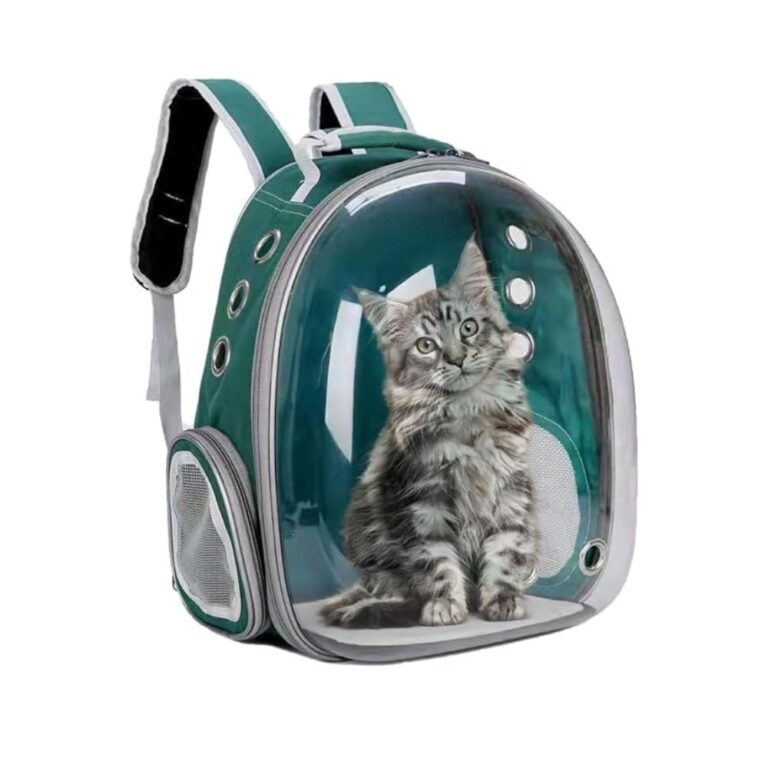 Cozy Paws Transparent Breathable Pet Carrier Bag Back Pack Green 31X25X42Cm