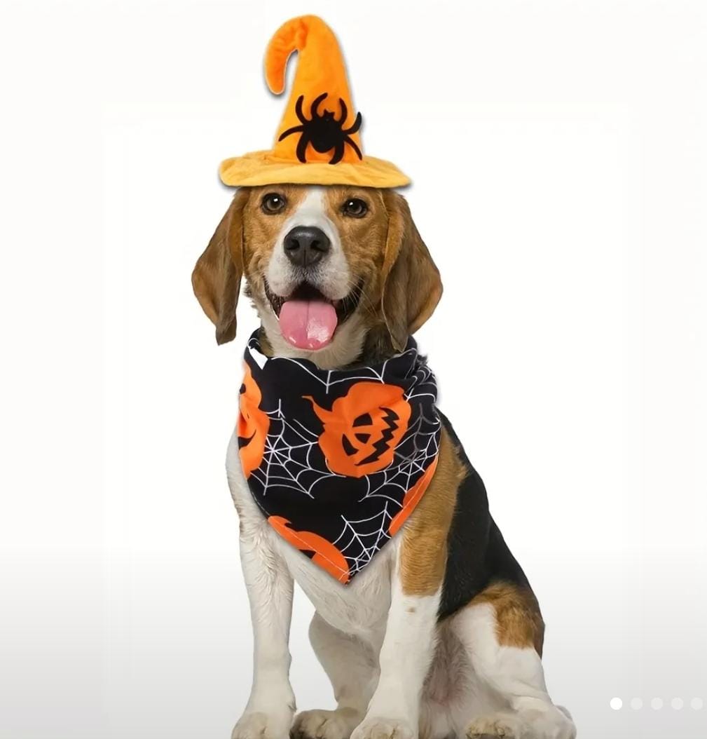 One Pet Spider Hat + Spider Pumpkin Scarf, Halloween Pet Costume Se