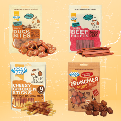 Armitage Back To School Treats Gift Box for Dog