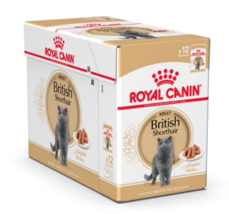 Royal Canin British Shorthair Adult (in gravy)