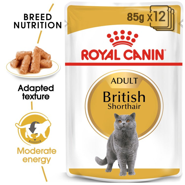 Royal Canin British Shorthair Adult Wet Cat Food