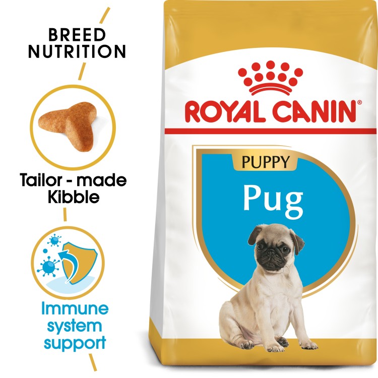 Royal Canin Breed Health Nutrition Pug Puppy - 1.5KG (Best Before 09-12-2025)