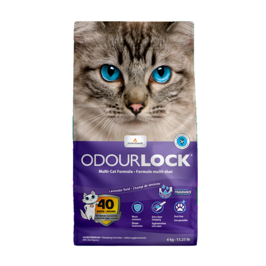 Intersand Odourlock Lavender Cat Litter - 6kg