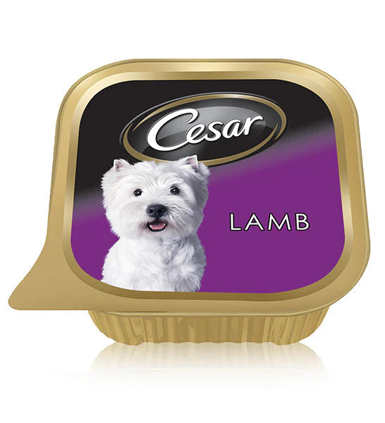 Cesar Lamb Wet Dog Food -100g
