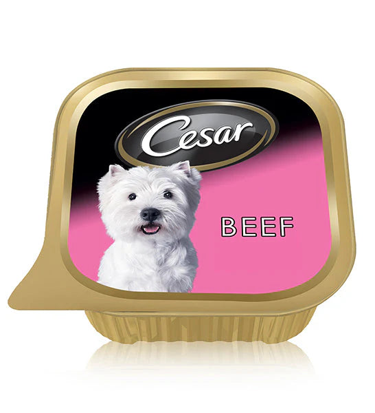 Cesar Wet Dog Food with Beef -100g
